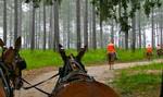 Quail hunting at Spring Island is still done in the traditional manner from horseback and accompanied by a mule-drawn wagon